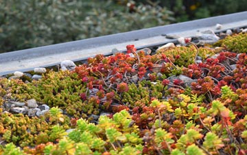 the cost of Parsonby green roof installation