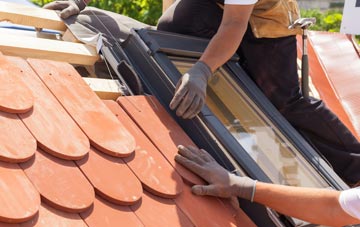 replacement Parsonby roof windows