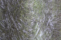 Parsonby fibreglass roof work