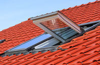 Parsonby roof window